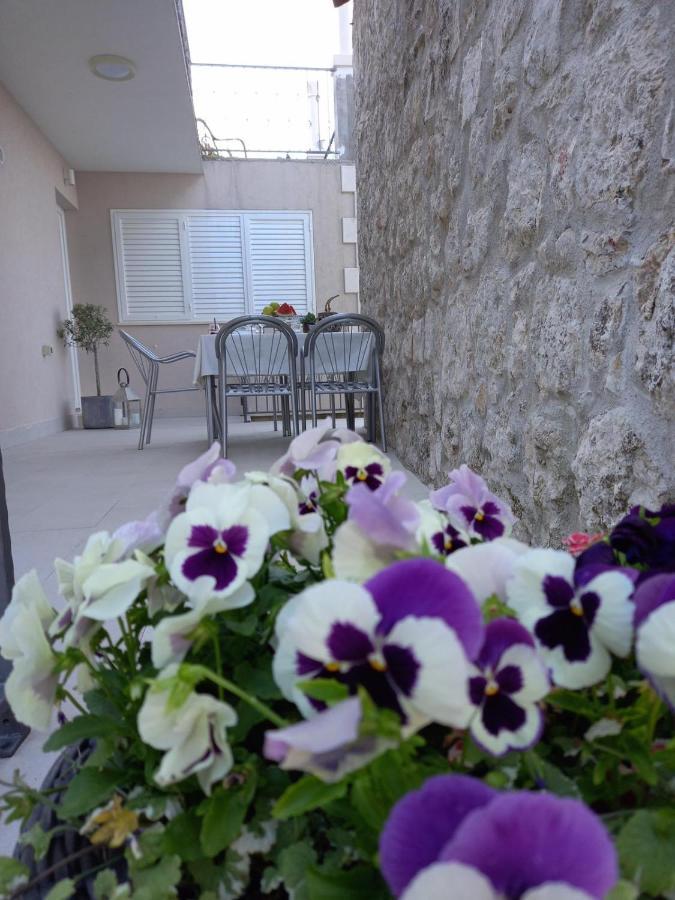 House Pierro Orasac
